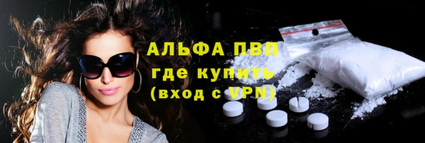 мдпв Бородино